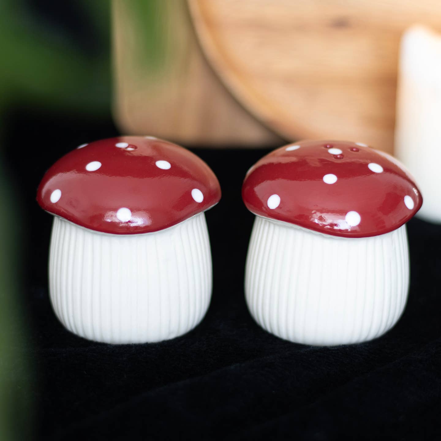 🍄🍄Woodland Mushroom Salt & Pepper Shakers