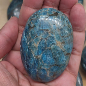 Apatite Palm Stone