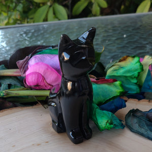 Black Obsidian Crystal Healing Reiki Cat