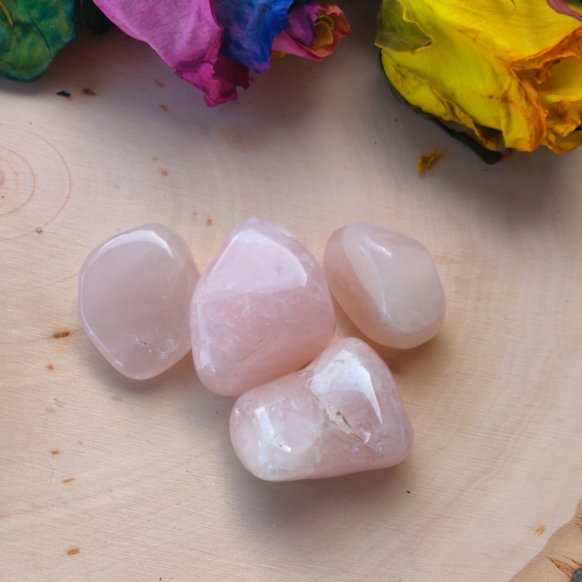 Rose Quartz Tumbled Stone Crystal