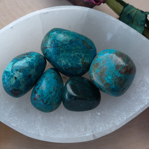 Chrysocolla Tumbled Crystal