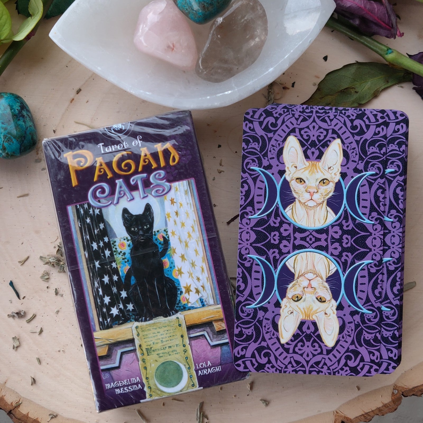 Pagan Cats Tarot Cards