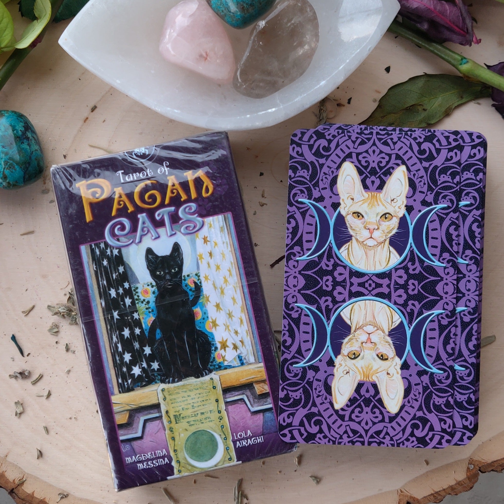 Pagan Cats Tarot Cards