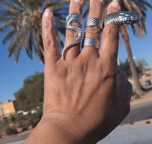 Constricted Serpents Ring Set